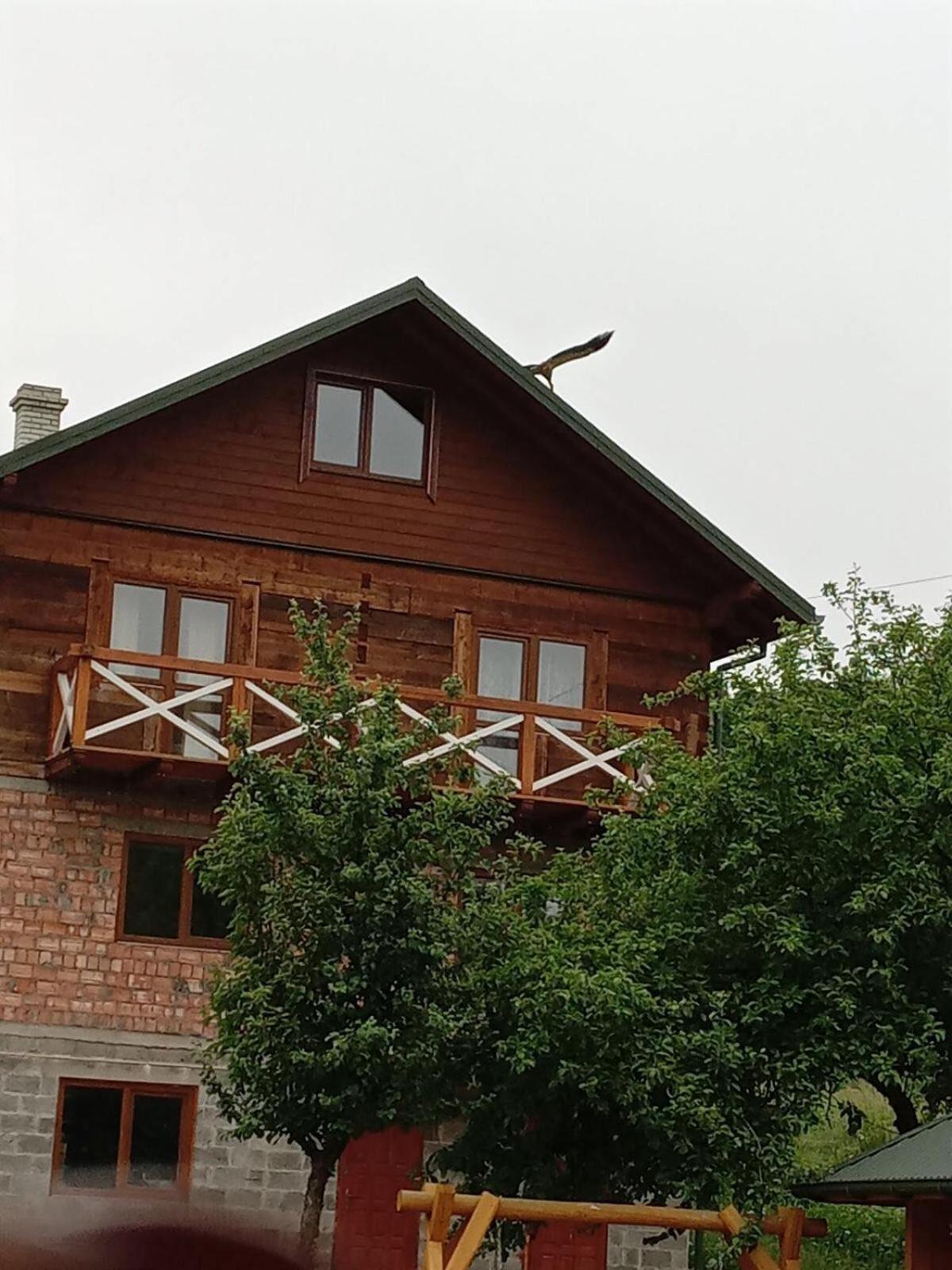 Золота Рибка Villa Slavske Luaran gambar